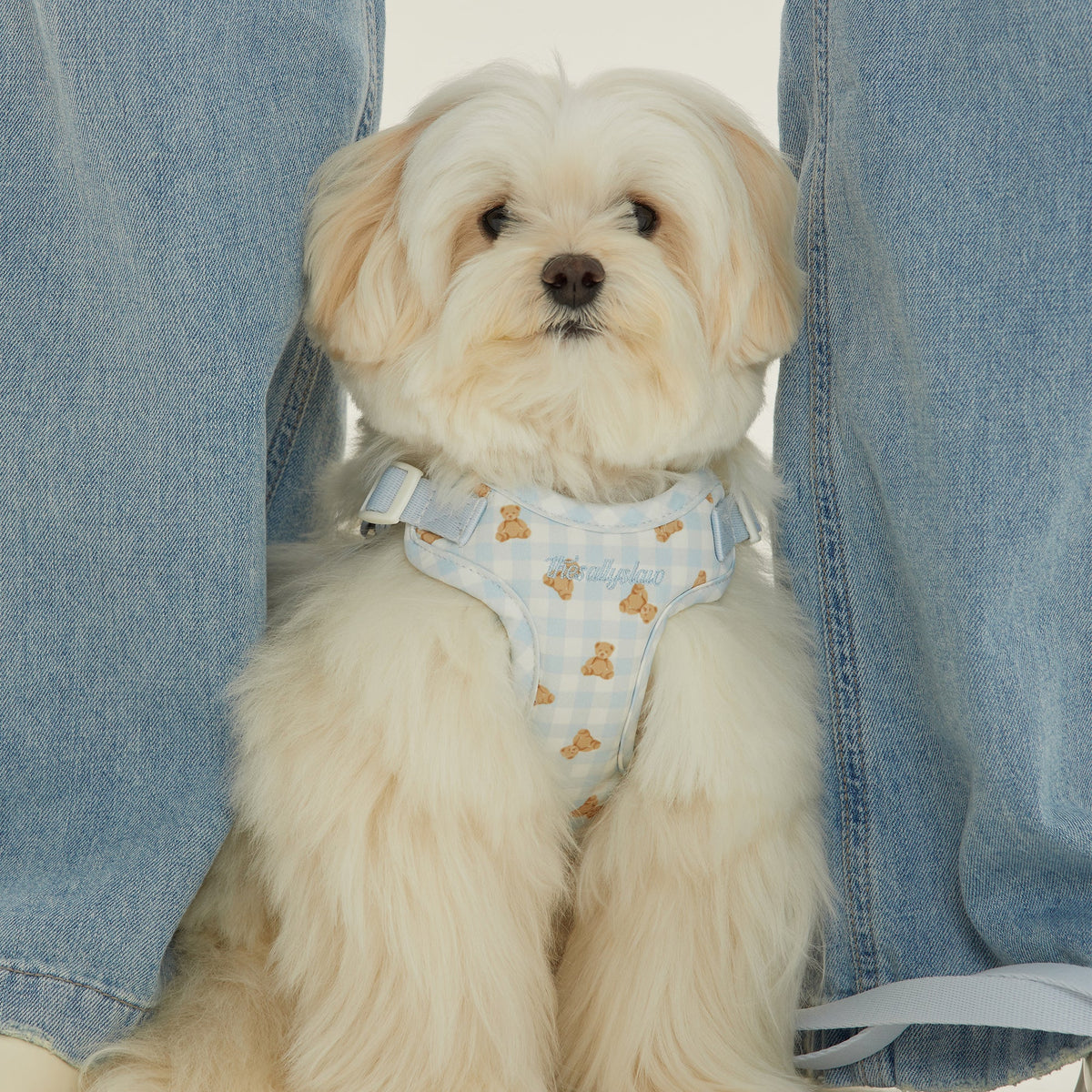 [thesallyslaw] Powder Blue Check Harness Set