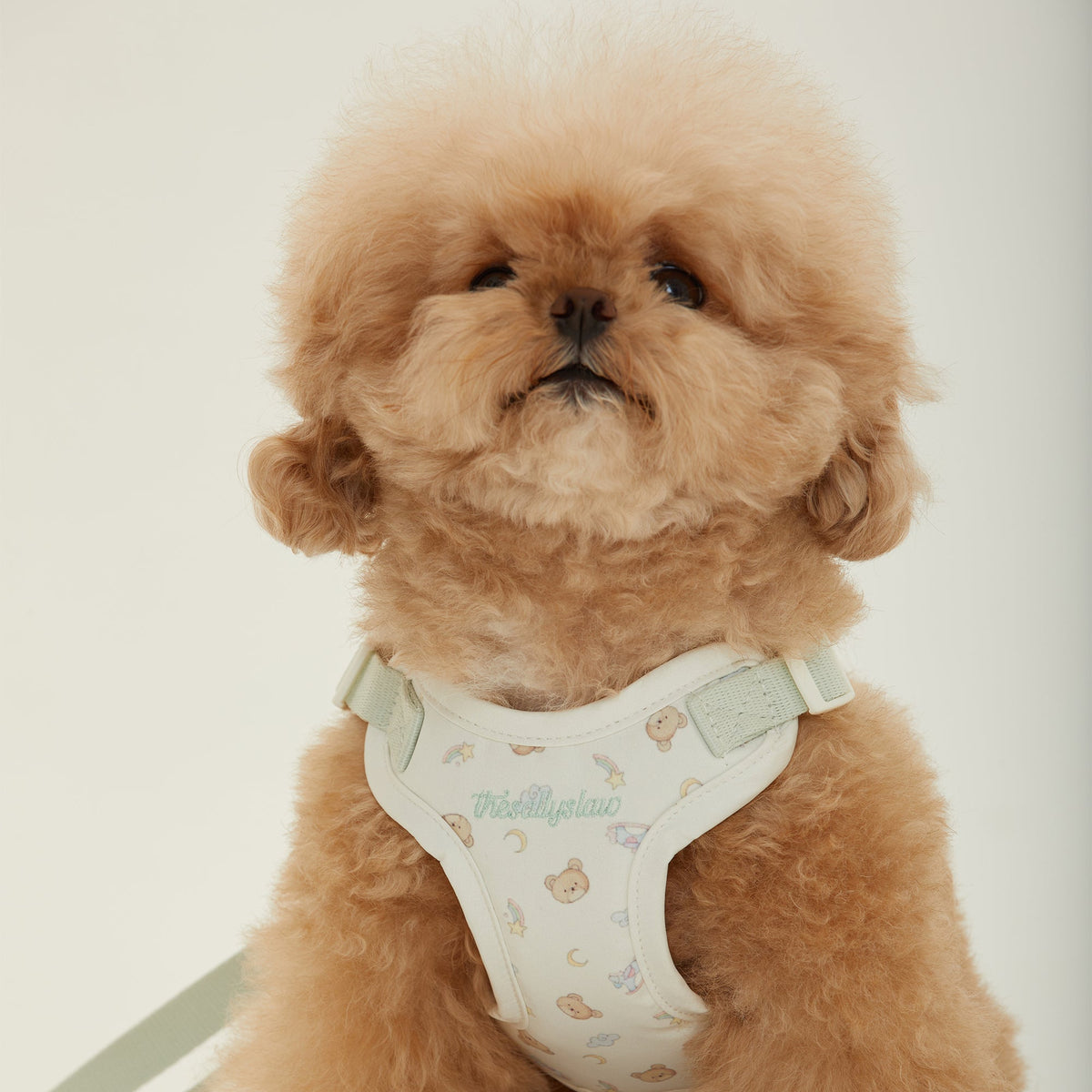 [thesallyslaw] Milky Pistachio Harness Set